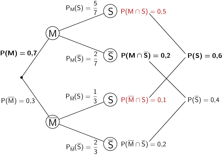 Baumdiagramm mit den Eintragungen der mithilfe der 1. Pfadregel berechneten Wahrscheinlichkeiten