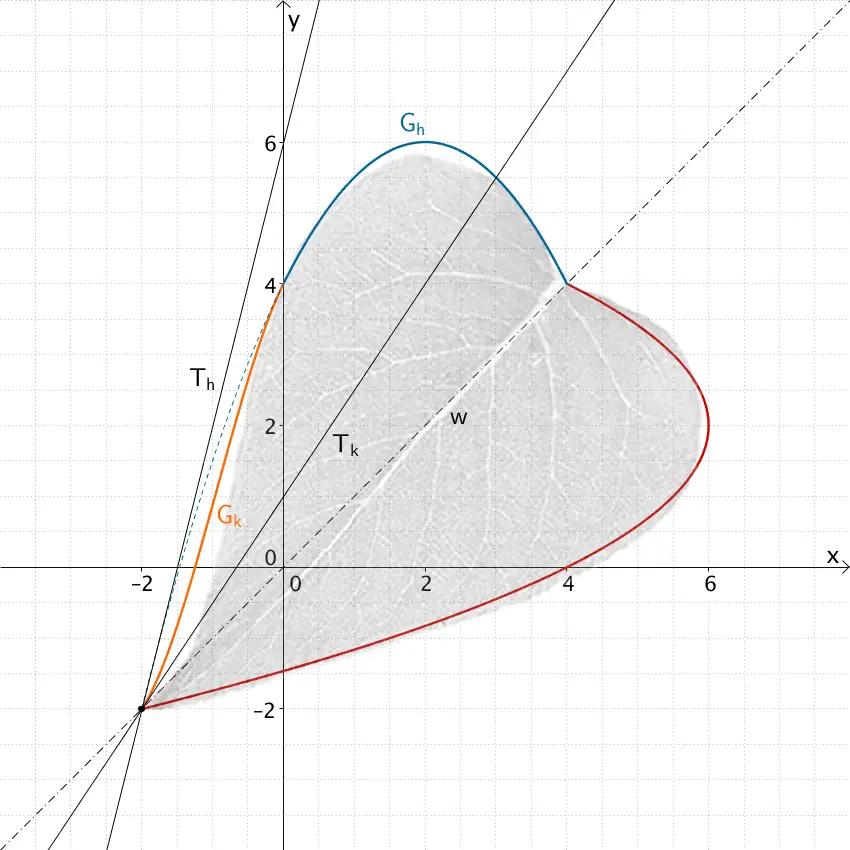 Tangente a die Funktion h und Tangente an die Funktion k, jeweils an der Stelle x = -2 (Blattspitze)