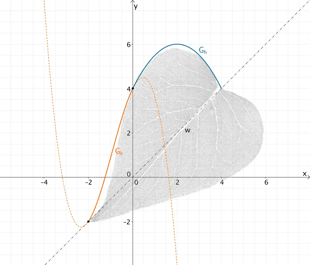 Graph der ganzrationalen Funktion k dritten Grades (unter den Bedingungen I,II, III und IV), welcher den oberen Blattrand für -2 ≤ x ≤ 0 im Falle des genaueren Modells beschreibt.