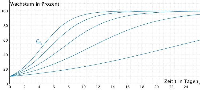 Kurvenschar der für das Wachtumsmodell gewählten Funktionenschar