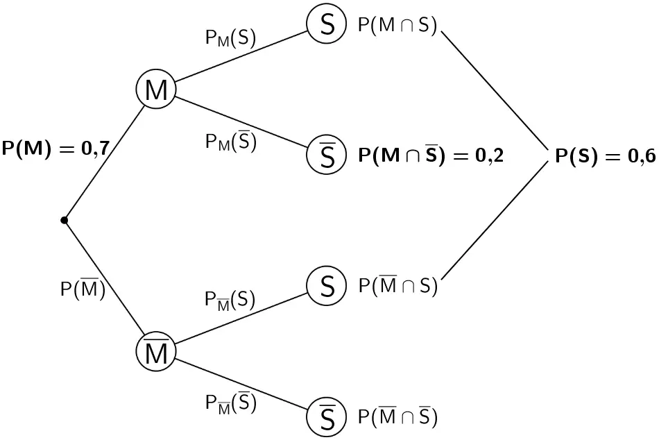 Baumdiagramm mit den Eintragungen der gegebenen Wahrscheinlichkeiten